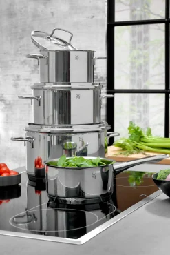 Topfsets>WMF Topfset 4tlg. silberfarben