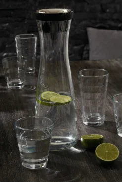 Karaffen>WMF Wasserkaraffe 1l transparent
