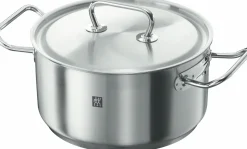 Töpfe>ZWILLING Bratentopf 24cm silberfarben